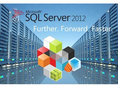 Microsoft windows 2008 serverı׼10ûʰ